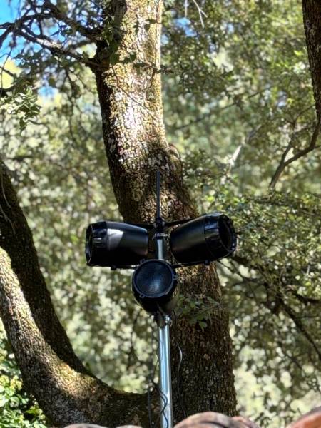 Système de sonorisation évacuation 