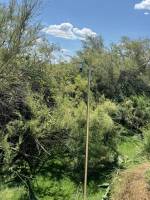 Notre zone d'activité :  Système d'alarme évacuation anti-terrorisme pour la sécurité publique