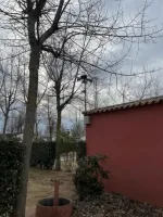 Notre zone d'activité :  Mise en place de sonorisation professionnelle extérieure pour campings