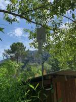 Nos prestations  vers Montpellier dans l'Hérault