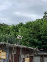 Nos prestations  vers Draguignan Haut-Var